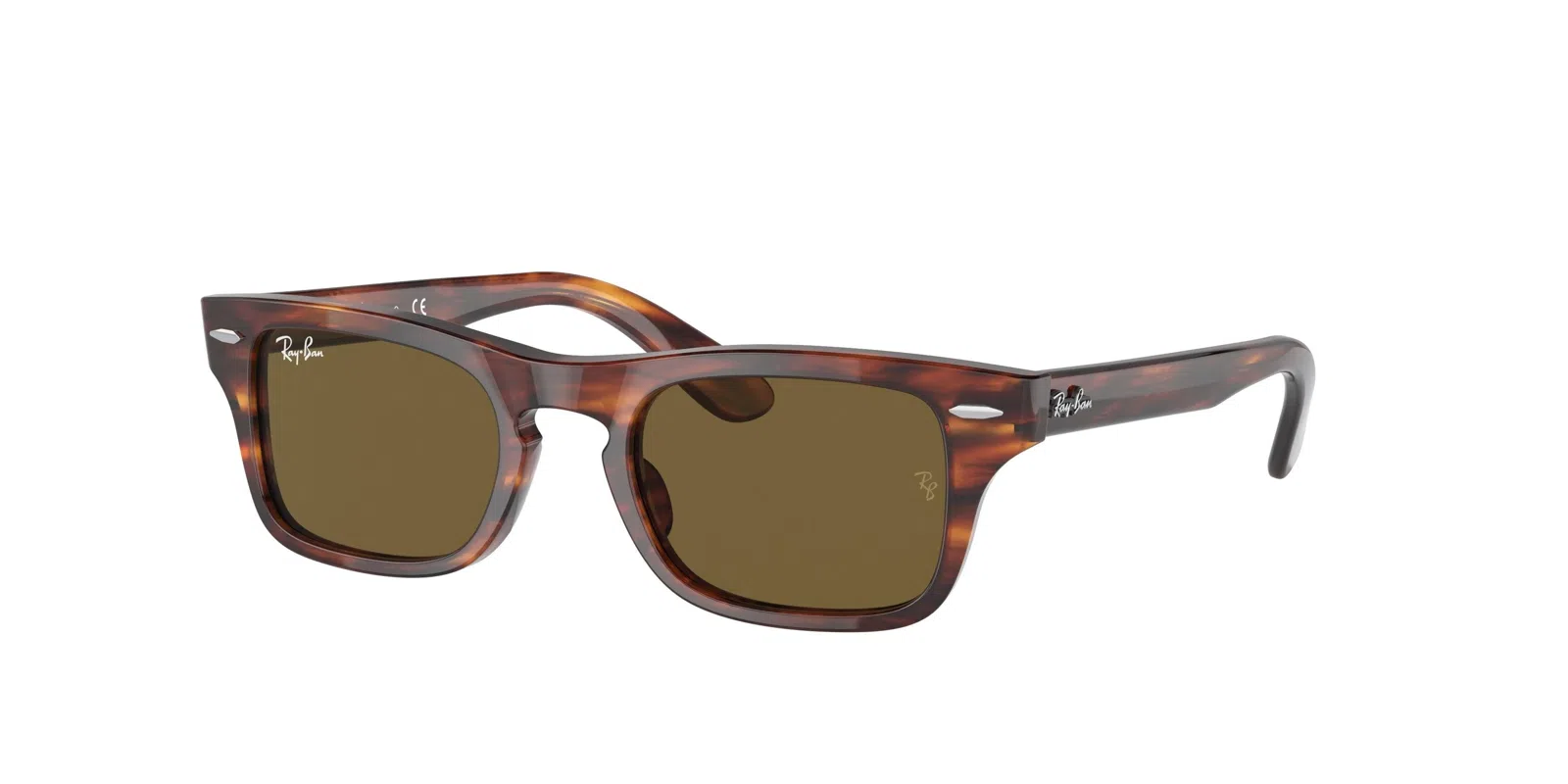 Ray-Ban Kids Burbank Jr 0RJ9083S Sunglasses - view 5